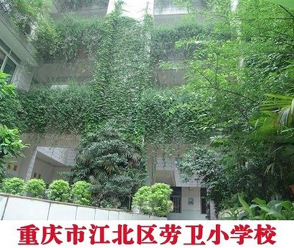尼瓦乐瓷砖胶观音桥劳卫小学项目