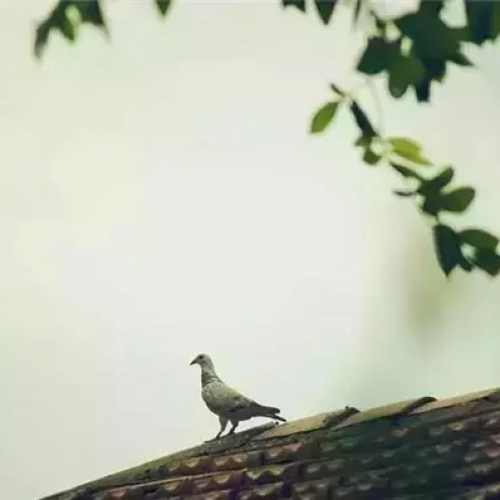 惊人的社会定律，再忙也要看上两遍