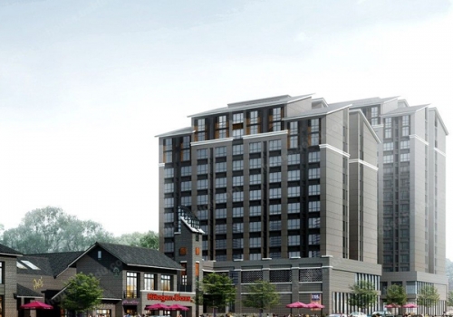 尼瓦乐瓷砖胶融汇温泉城项目