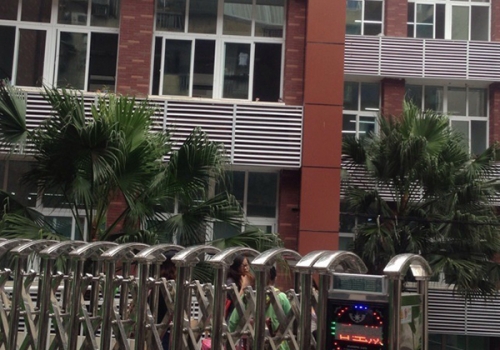 尼瓦乐瓷砖胶福州劳卫小学项目