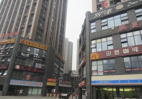 尼瓦乐瓷砖胶财信城市国际项目