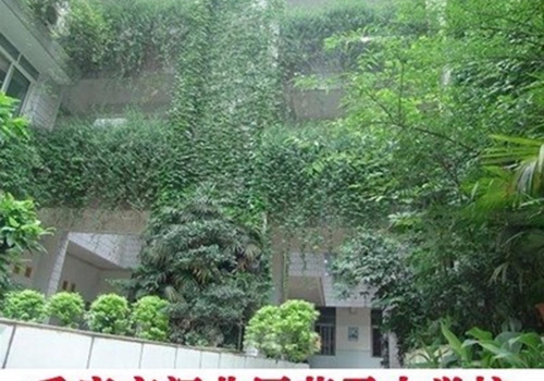 尼瓦乐瓷砖胶观音桥劳卫小学项目